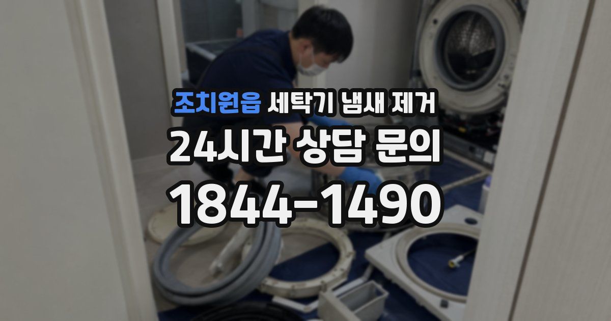조치원읍 세탁기 냄새 제거