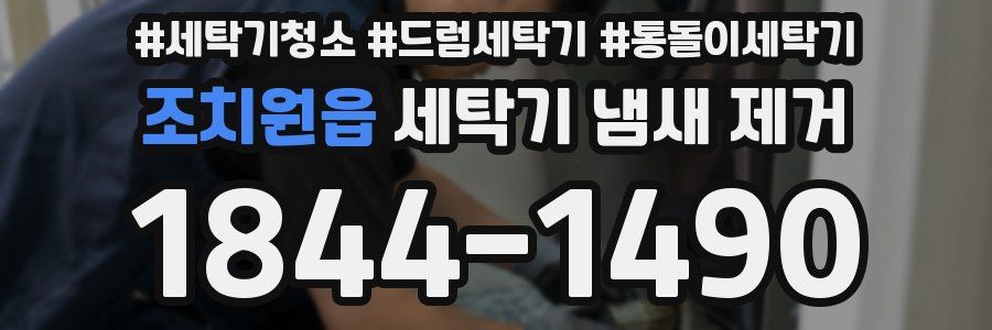 조치원읍 세탁기 냄새 제거