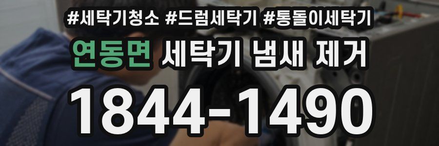 연동면 세탁기 냄새 제거