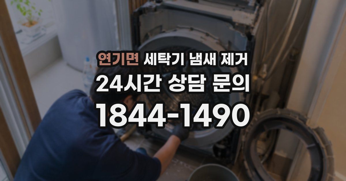 연기면 세탁기 냄새 제거