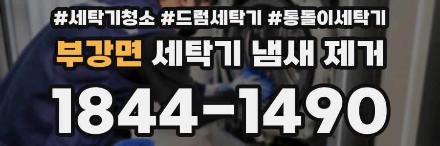 부강면 세탁기 냄새 제거