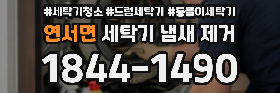 연서면 세탁기 냄새 제거