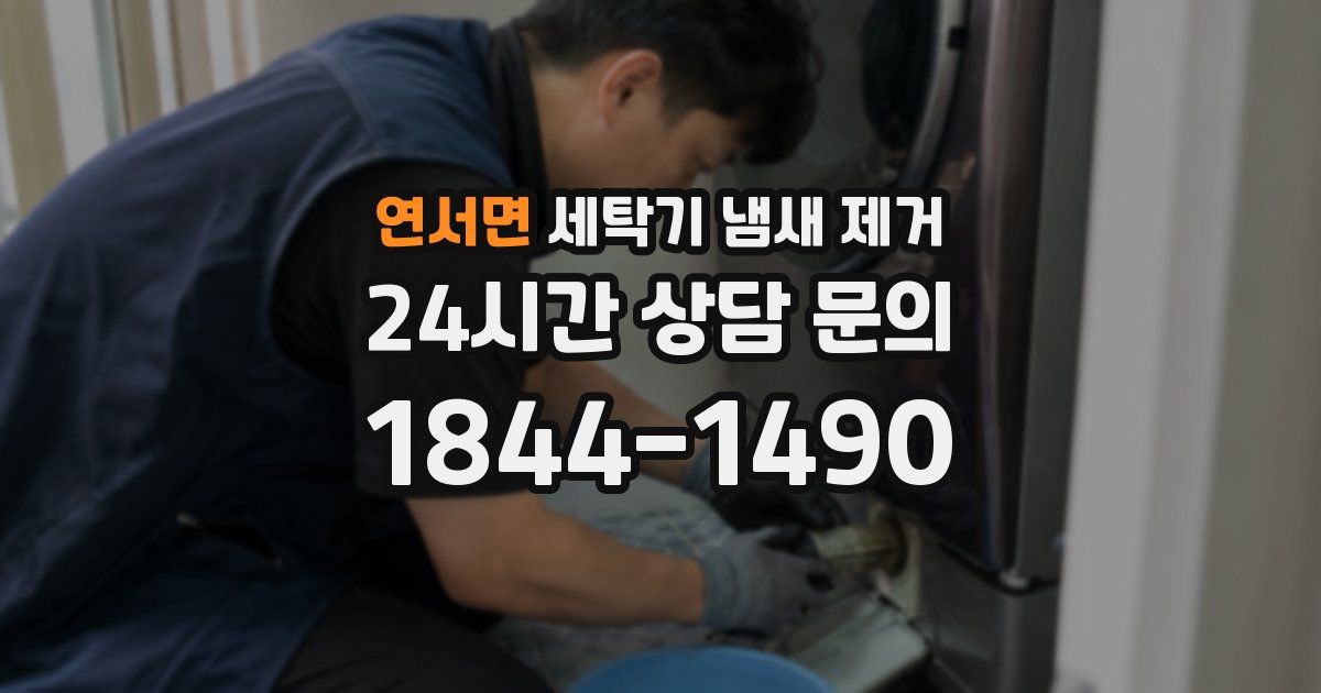 연서면 세탁기 냄새 제거