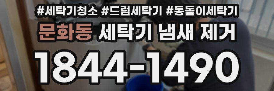 문화동 세탁기 냄새 제거
