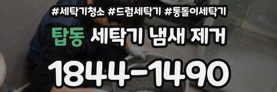 탑동 세탁기 냄새 제거