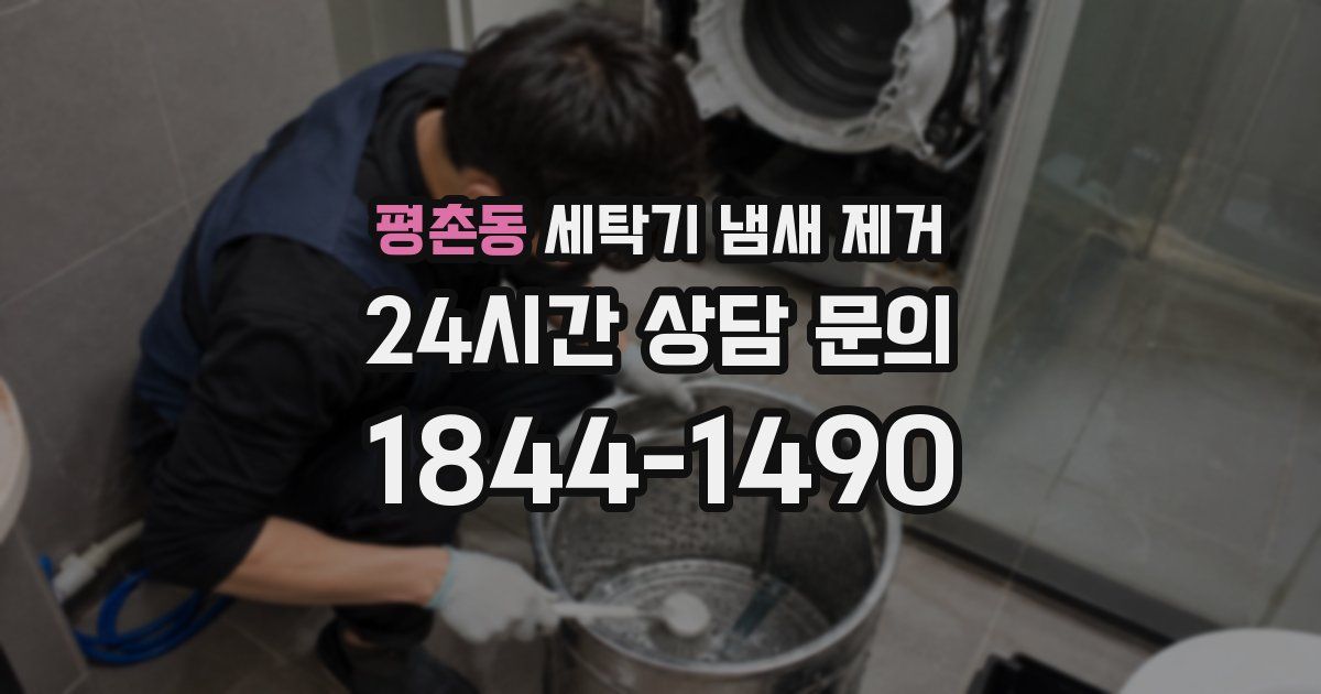 평촌동 세탁기 냄새 제거