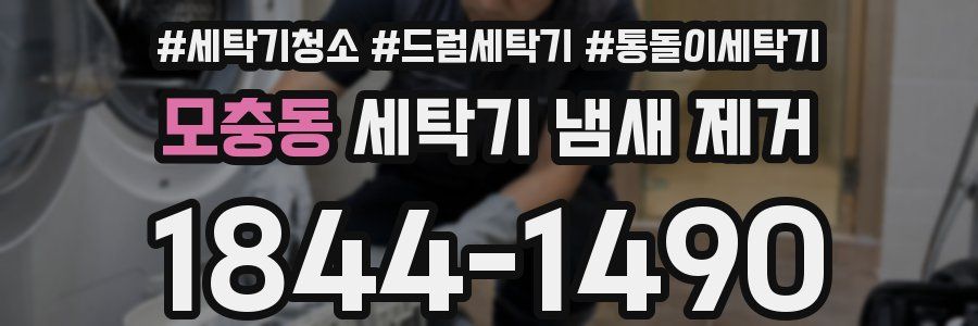 모충동 세탁기 냄새 제거