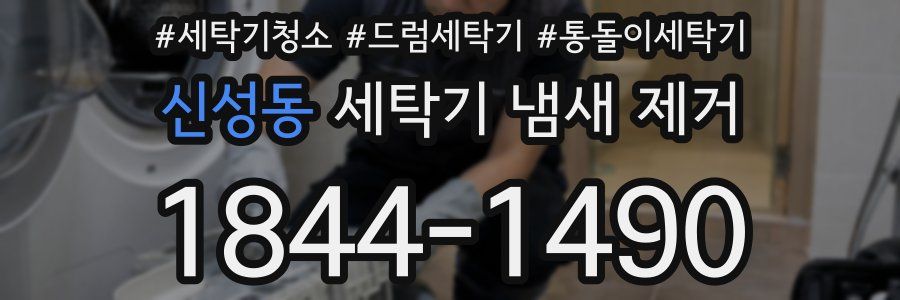 신성동 세탁기 냄새 제거