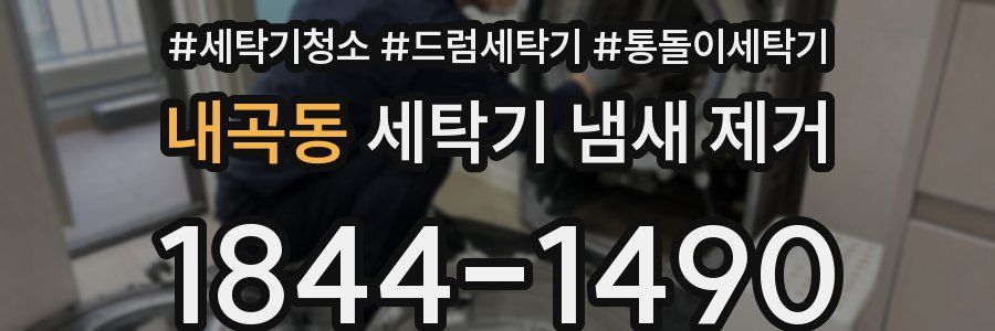 내곡동 세탁기 냄새 제거