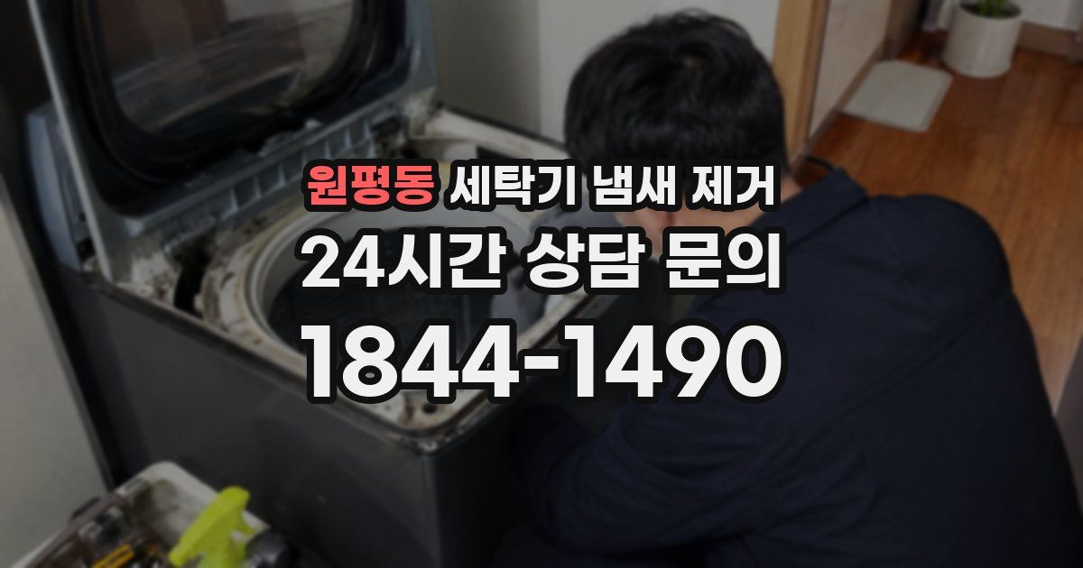 원평동 세탁기 냄새 제거