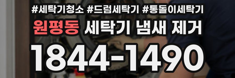 원평동 세탁기 냄새 제거