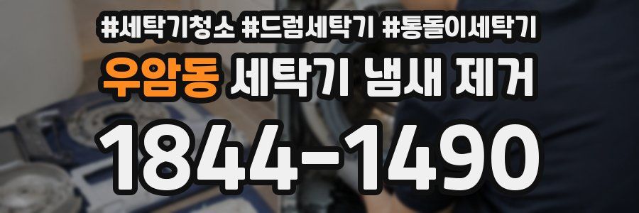 우암동 세탁기 냄새 제거