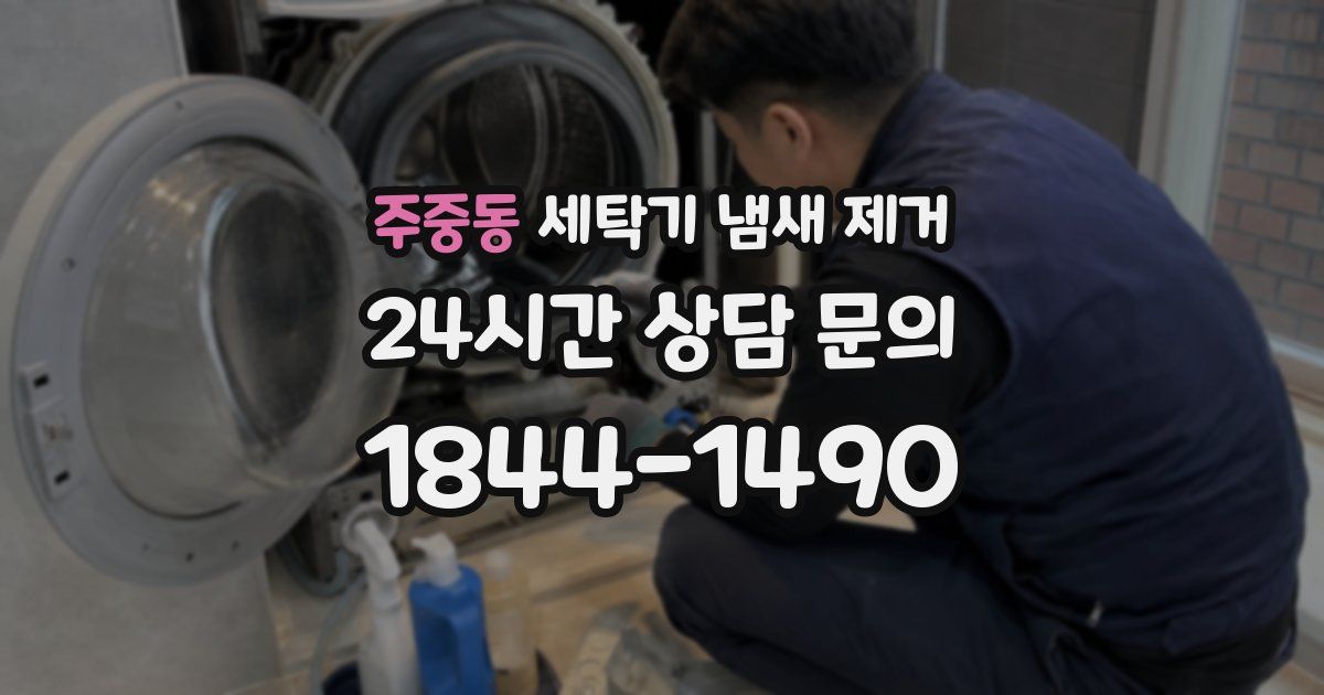 주중동 세탁기 냄새 제거
