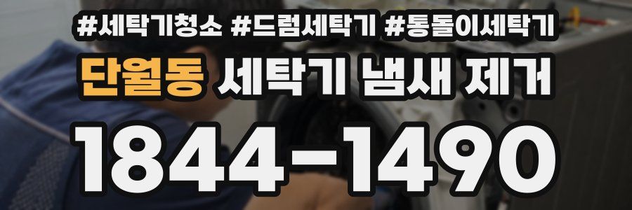 단월동 세탁기 냄새 제거