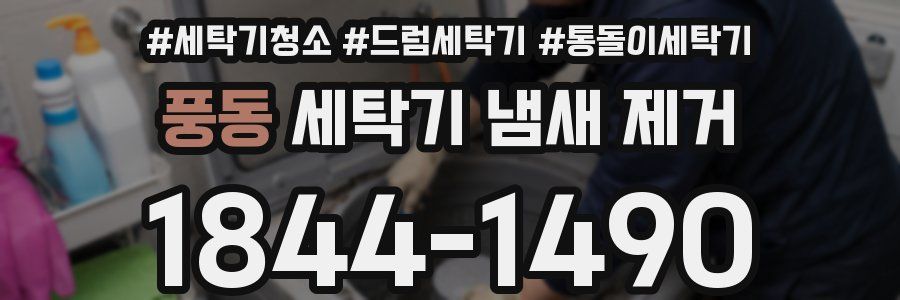 풍동 세탁기 냄새 제거