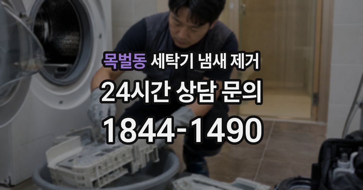 목벌동 세탁기 냄새 제거