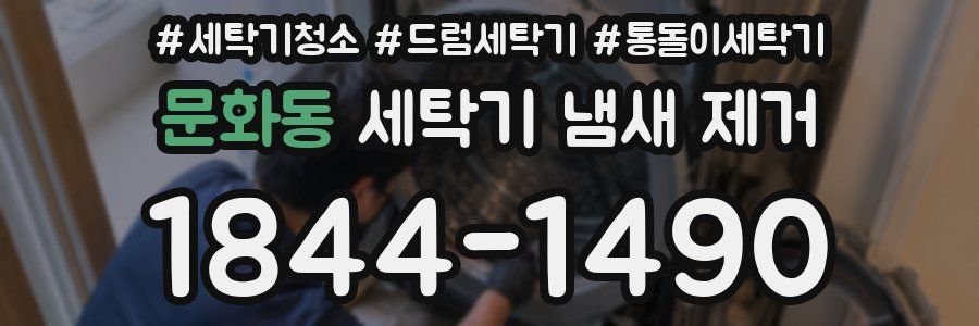 문화동 세탁기 냄새 제거