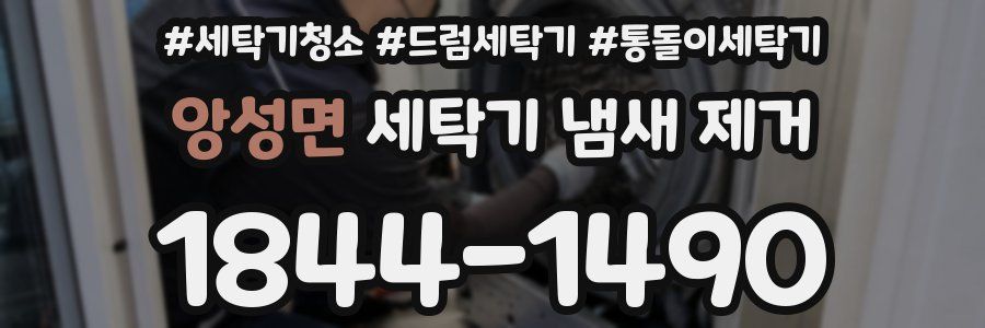 앙성면 세탁기 냄새 제거