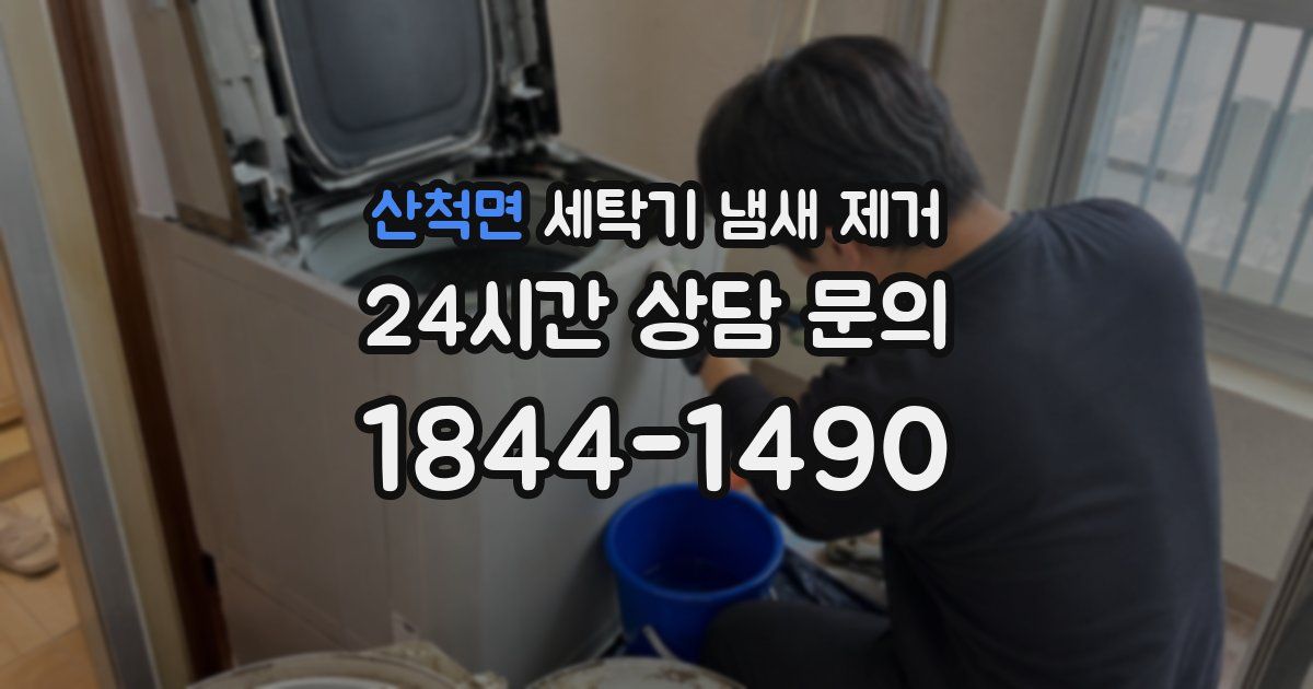 산척면 세탁기 냄새 제거