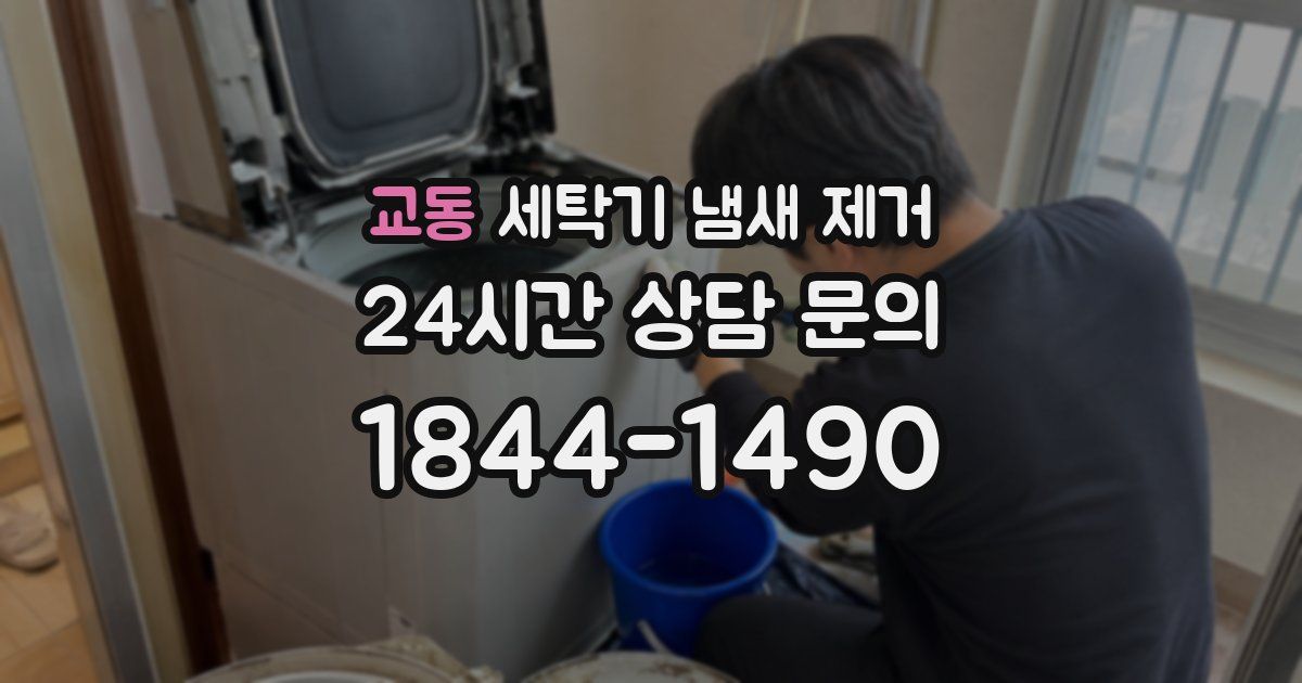교동 세탁기 냄새 제거
