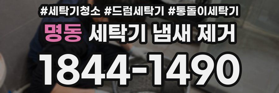 명동 세탁기 냄새 제거