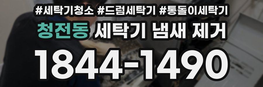 청전동 세탁기 냄새 제거