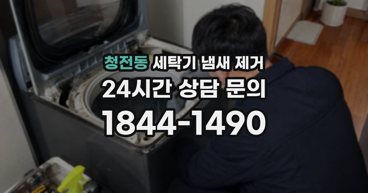 청전동 세탁기 냄새 제거