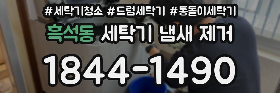 흑석동 세탁기 냄새 제거