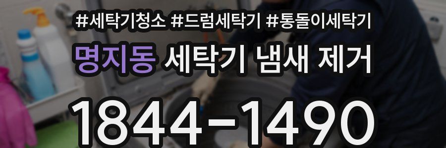 명지동 세탁기 냄새 제거