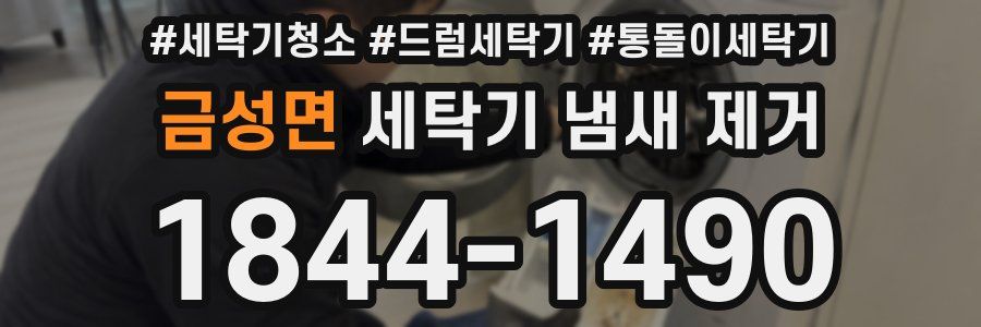 금성면 세탁기 냄새 제거