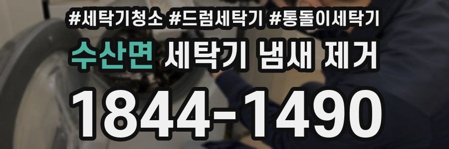 수산면 세탁기 냄새 제거