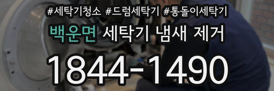 백운면 세탁기 냄새 제거