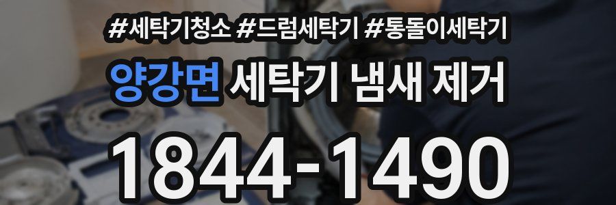 양강면 세탁기 냄새 제거