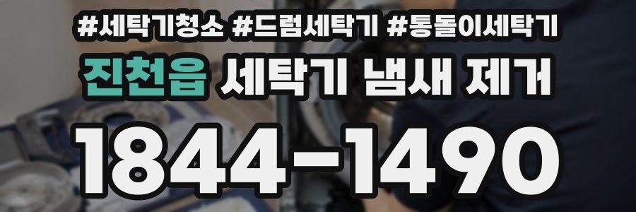 진천읍 세탁기 냄새 제거