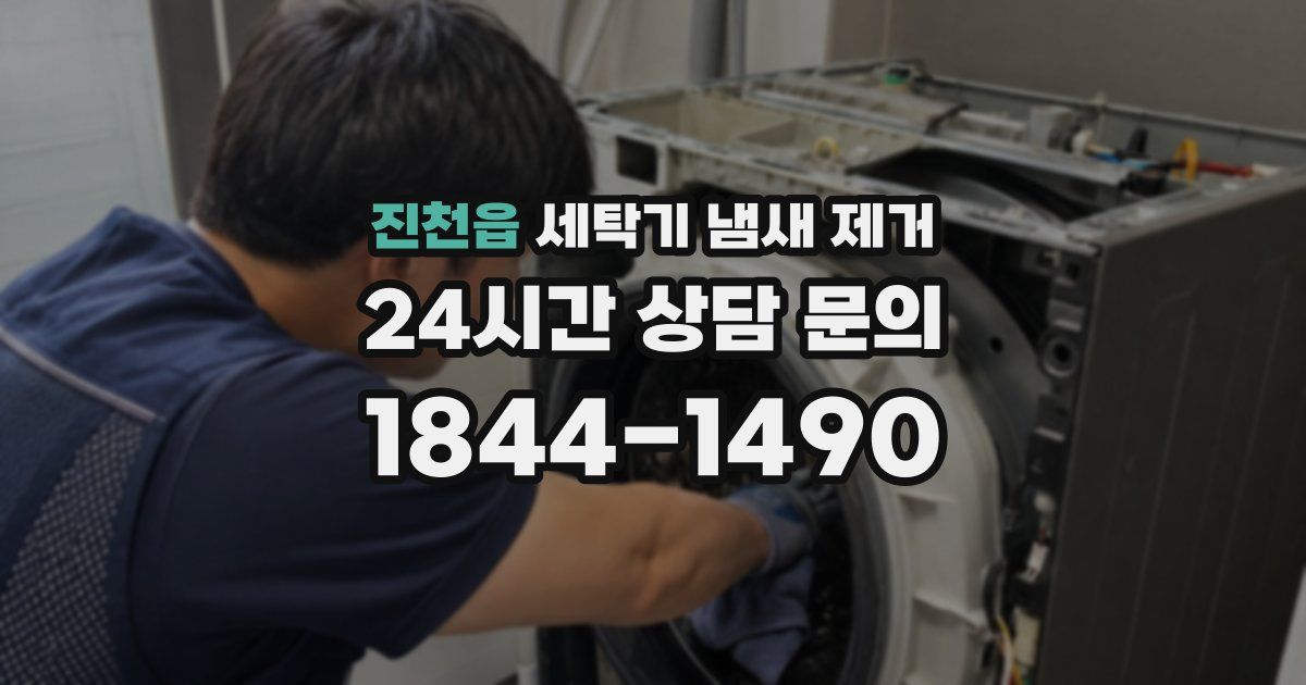 진천읍 세탁기 냄새 제거