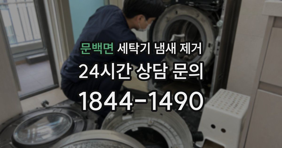 문백면 세탁기 냄새 제거