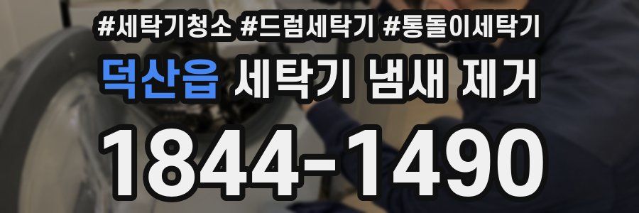 덕산읍 세탁기 냄새 제거