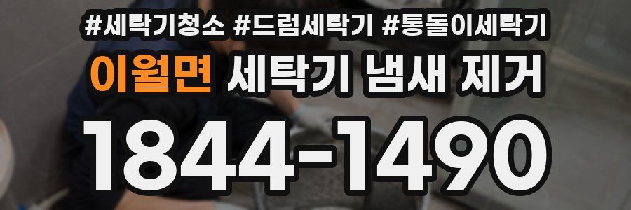 이월면 세탁기 냄새 제거