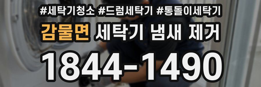 감물면 세탁기 냄새 제거