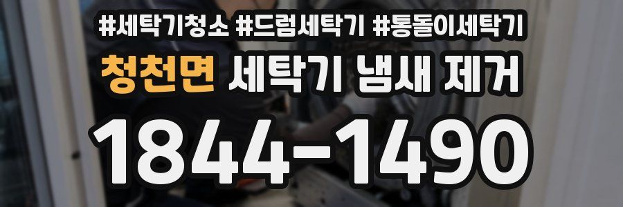 청천면 세탁기 냄새 제거