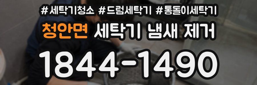 청안면 세탁기 냄새 제거