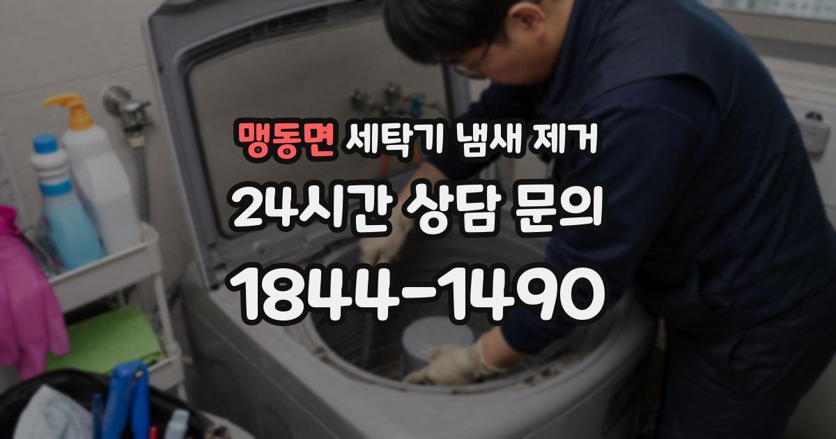맹동면 세탁기 냄새 제거
