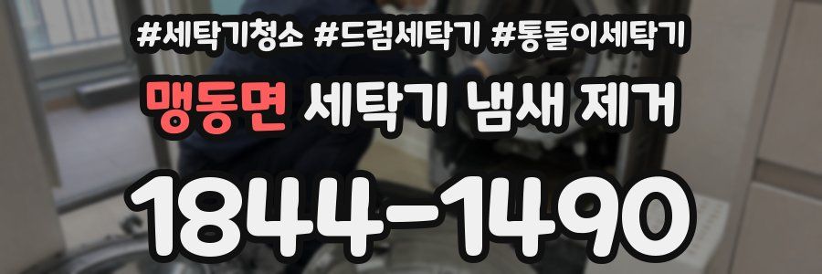 맹동면 세탁기 냄새 제거