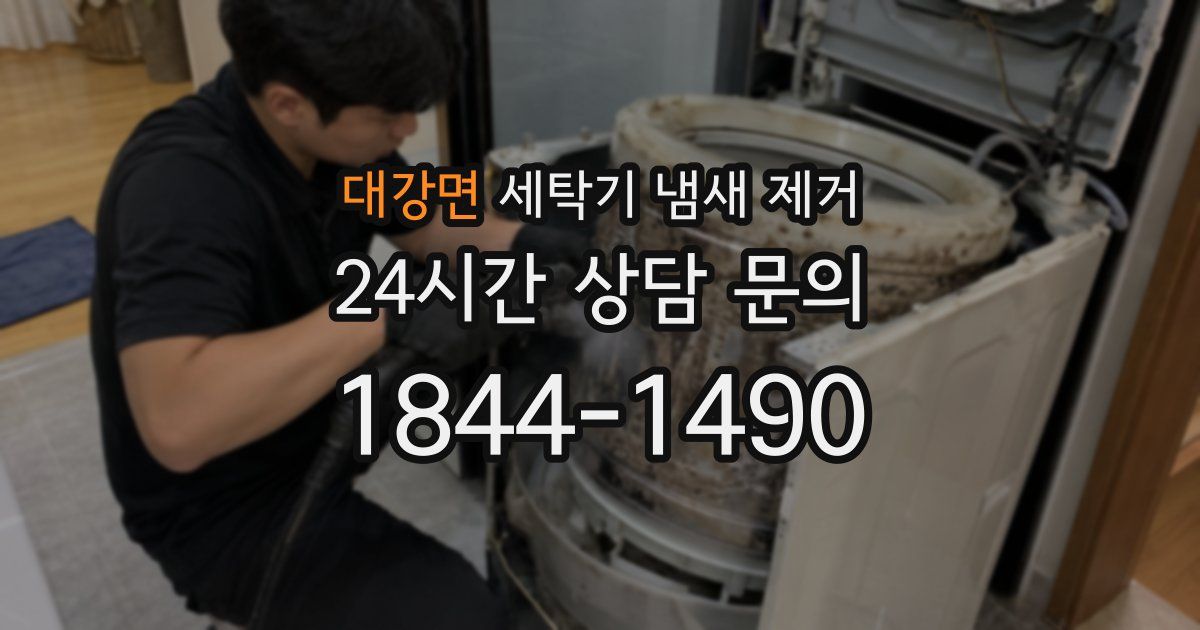 대강면 세탁기 냄새 제거