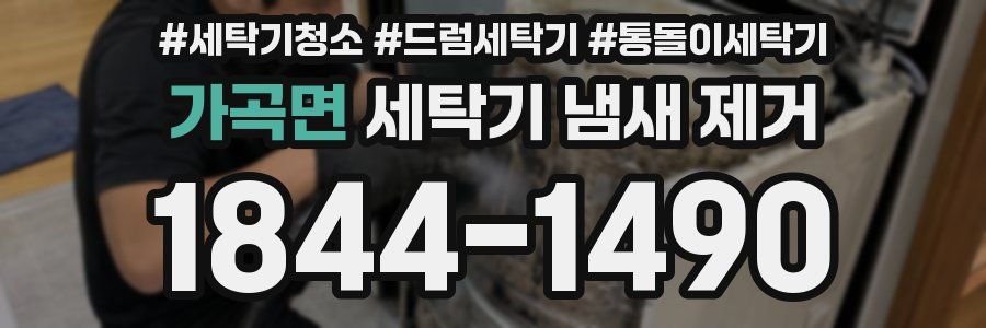 가곡면 세탁기 냄새 제거