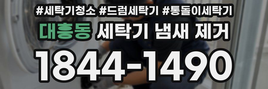 대흥동 세탁기 냄새 제거