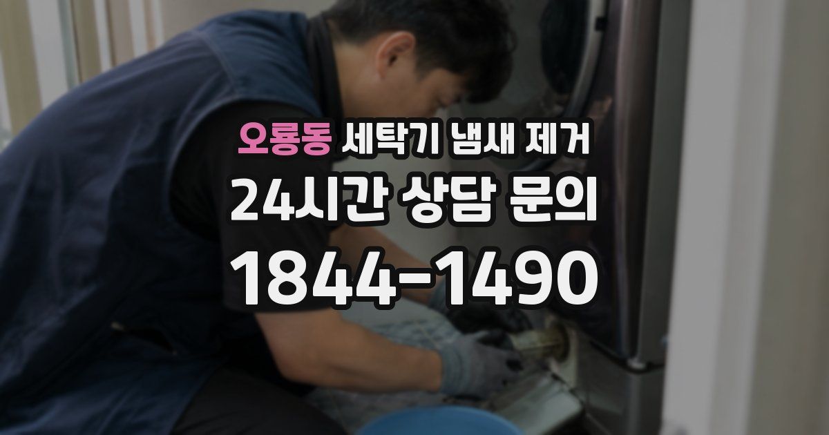 오룡동 세탁기 냄새 제거