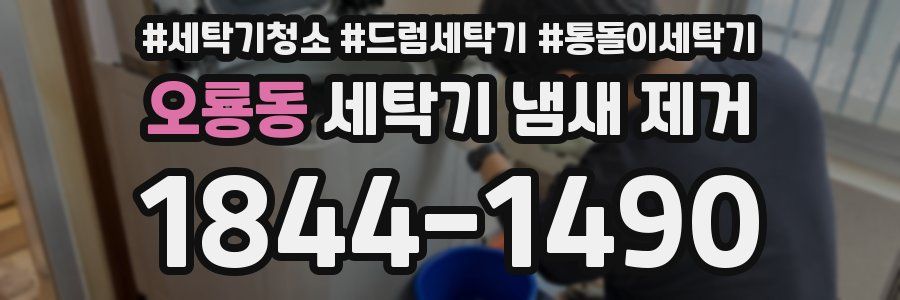 오룡동 세탁기 냄새 제거