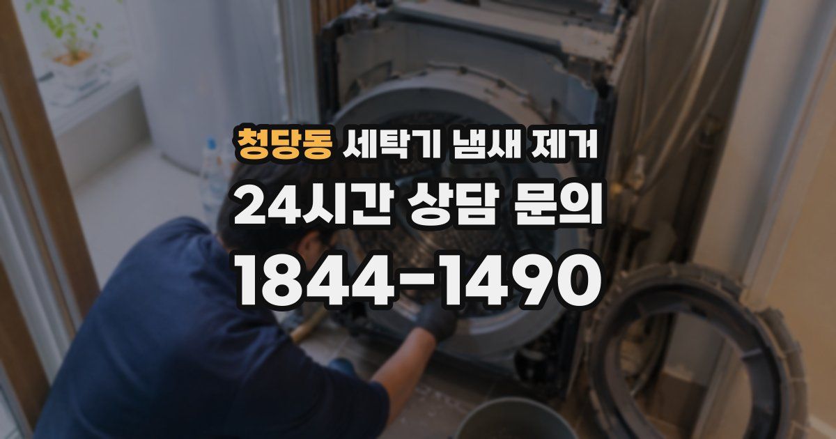 청당동 세탁기 냄새 제거