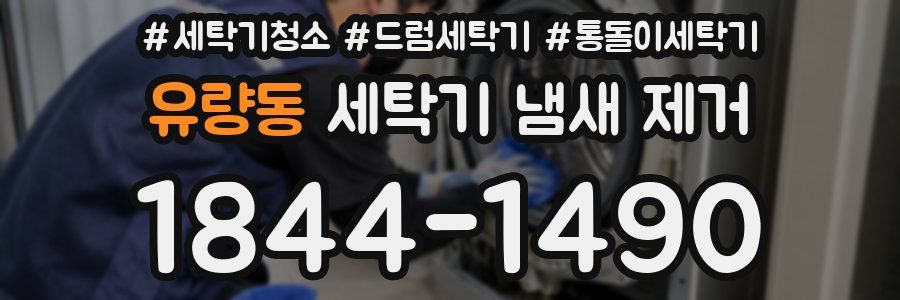 유량동 세탁기 냄새 제거